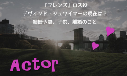 デヴィッド・シュワイマー,現在