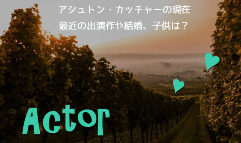 アシュトン・カッチャー現在