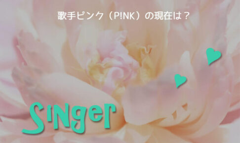 歌手ピンク現在