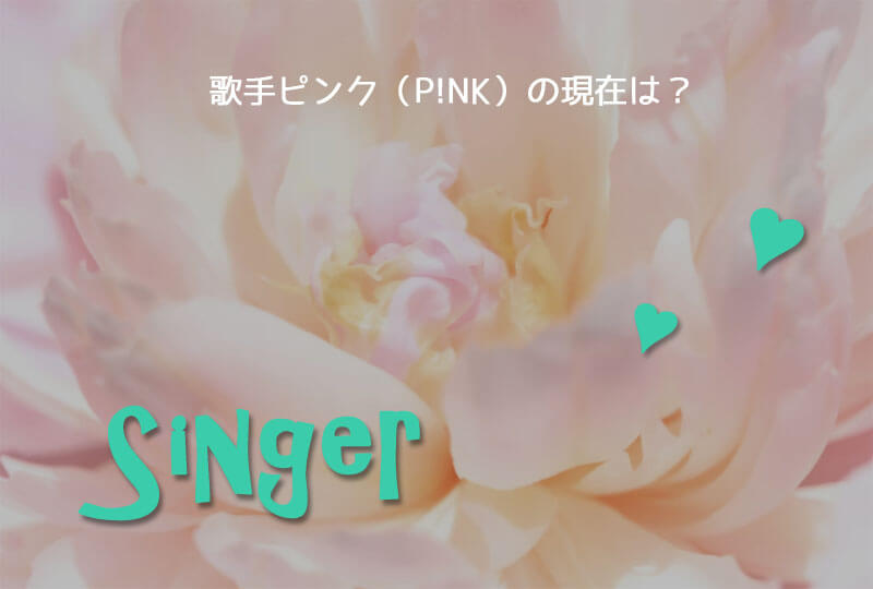 歌手ピンク現在